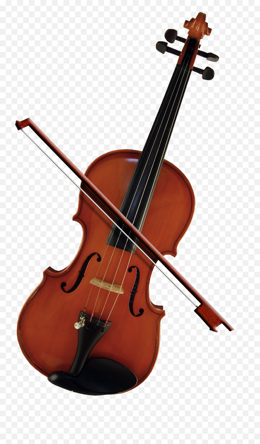 Bass Violin Cello Violone Viola - Violon Clipart Png,Viola Png