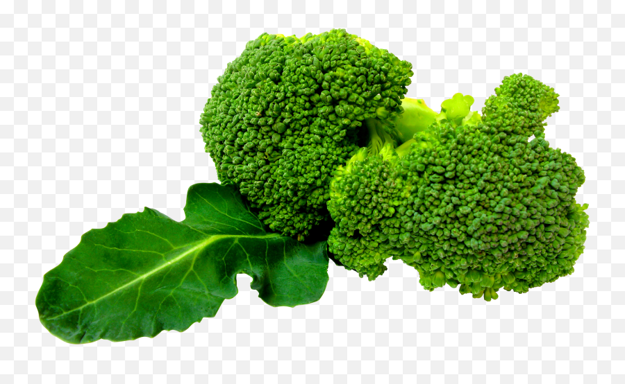 Download Broccoli Png Image For Free - Broccoli Png,Brocolli Png