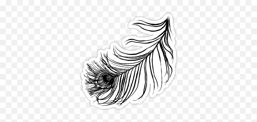 Single Peacock Feather Png 25 Off Iphone And Samsung - Clip Art,Black Feather Png
