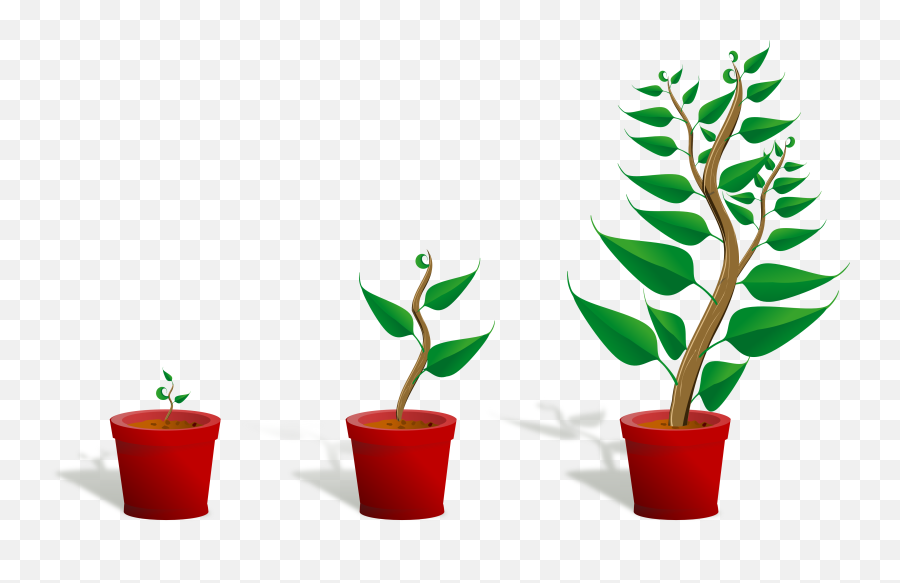 Library Of Plant A Flower Clipart Freeuse Stock Png Files - Getting To Know Plants,Hanging Plants Png