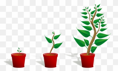 13+ Hanging Plant Png