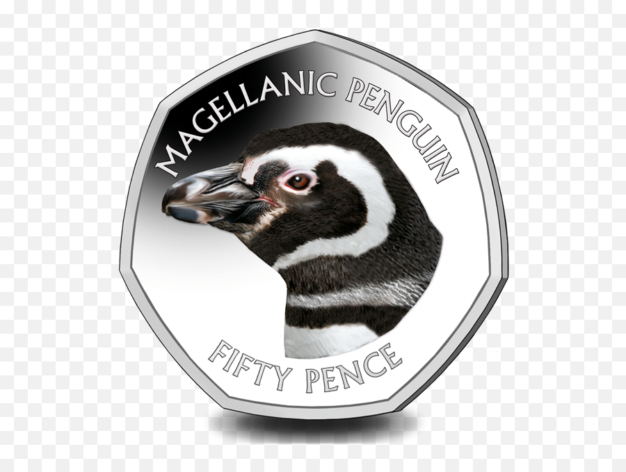 Pobjoy Mint - Magellanic 2018 50p Png,Possum Transparent