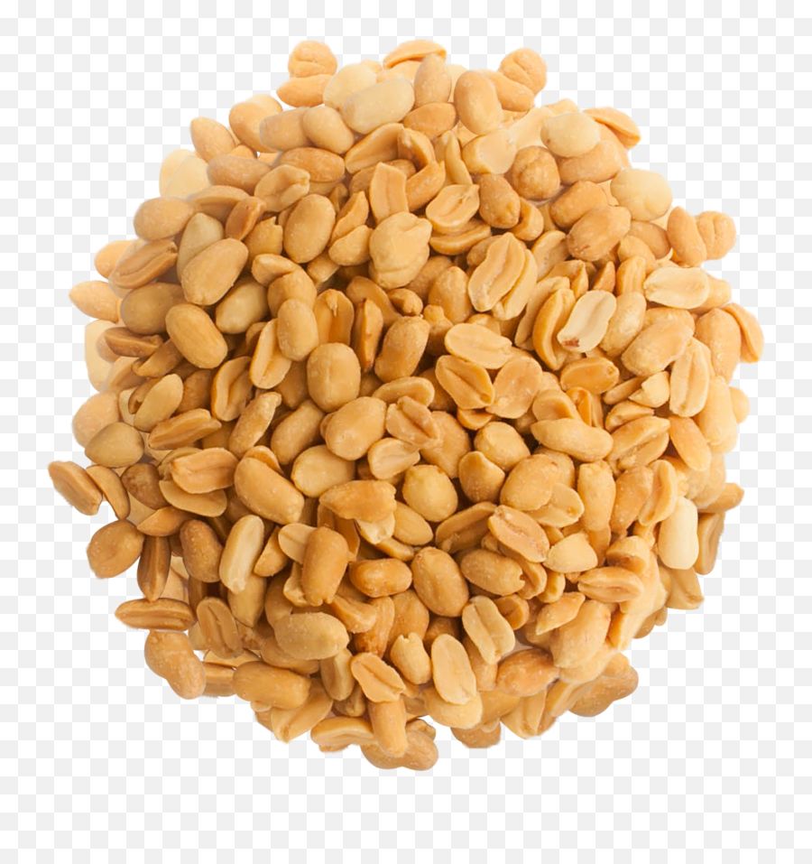 Peanut Png - Transparent Background Peanuts Png,Peanut Png