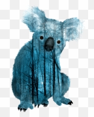 Koala Bear Png - Transparent Background Koala Png,Koala Bear Png