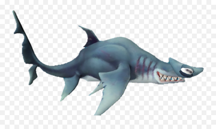 Download Hammerhead Shark Png Image - Requiem Shark,Hammerhead Shark Png