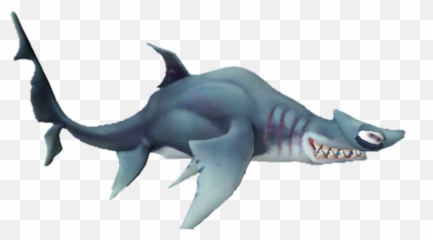 Download Hammerhead Shark Png Image - Requiem Shark,Hammerhead Shark Png