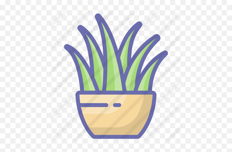 Aloe Vera - Free Nature Icons Illustration Png,Aloe Vera Png