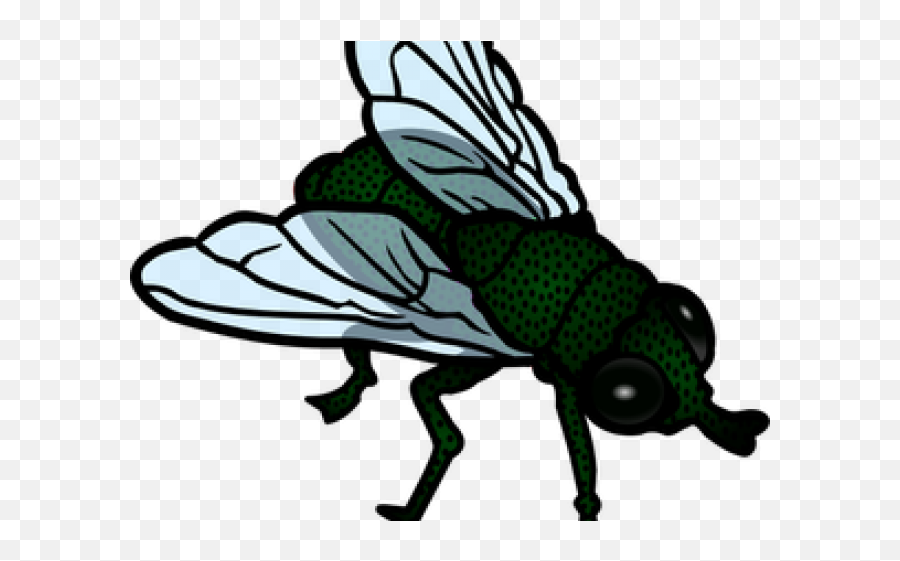 Flies Clipart Little Bug - Clip Art Fly Png,Flies Png
