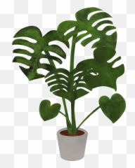 Monstera Plant Leaves - Graphic png