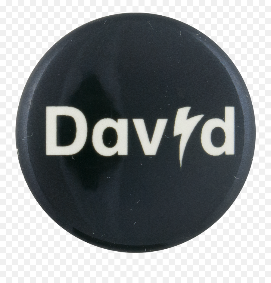 David Bowie Is Png Logo