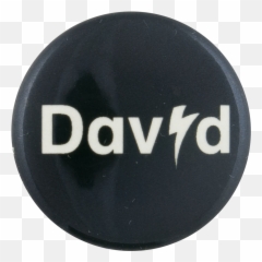 David Bowie Is Png Logo