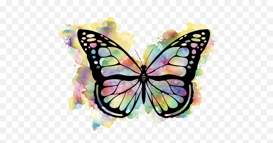 Karla Alvarez - Colorful Watercolor Butterfly Png,Acuarela Png