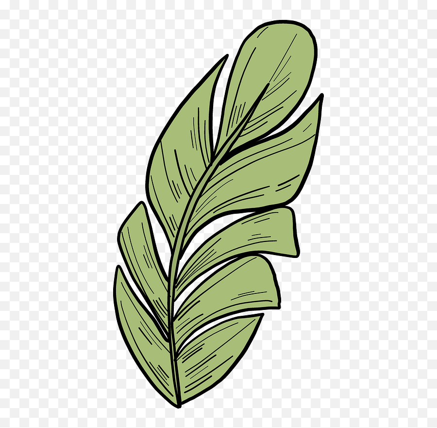 Palm Leaf Clipart - Hoja Dibujo De Palmera Png,Palm Leaf Transparent