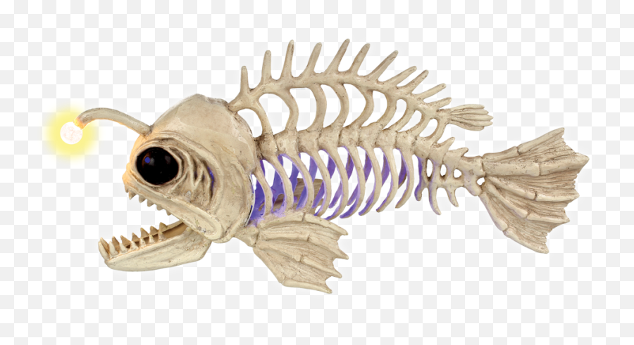 Fish Skeleton Png - Fish Skeleton,Fish Skeleton Png