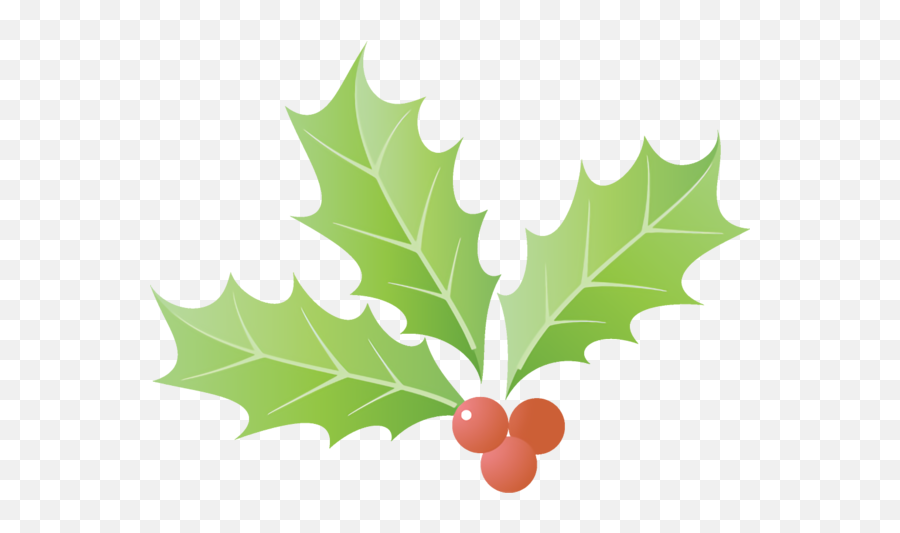 Christmas Leaf Holly Tree For Png Leaves