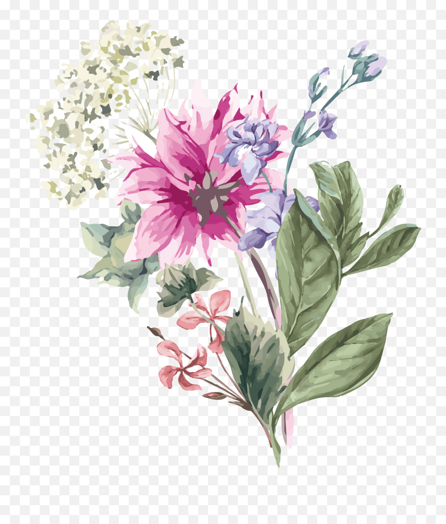 Hydrangea Flower Stock Illustration - Hand Flower Illustration Clipart Transparent Background Png,Spring Flower Png
