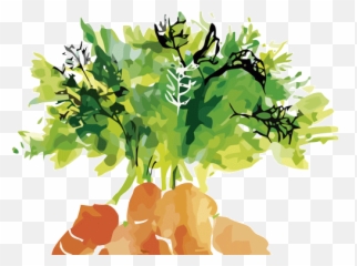 Products - Arcoval Artists Carrot Png,Zanahoria Png