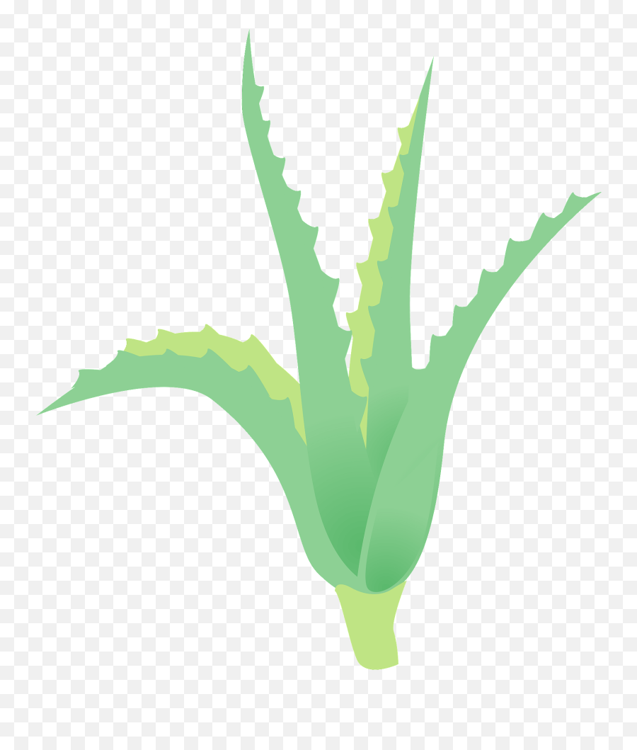 Aloe Plant Clipart Free Download Transparent Png Creazilla - Vertical,Succulent Icon Transparent