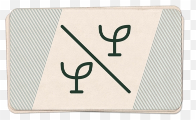 Grey Jacobson - Language png