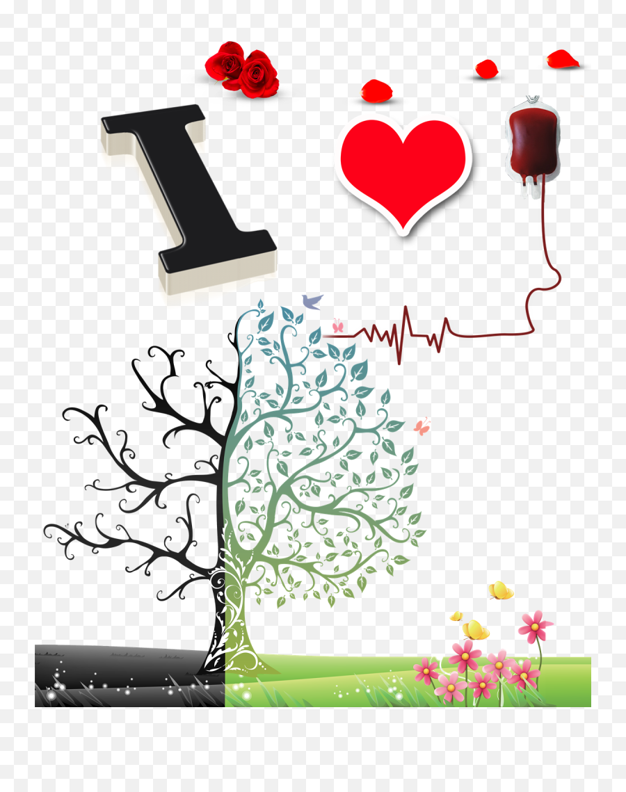 Blood Donation Png Transparent Image - Family Tree Svg Free,Donation Png