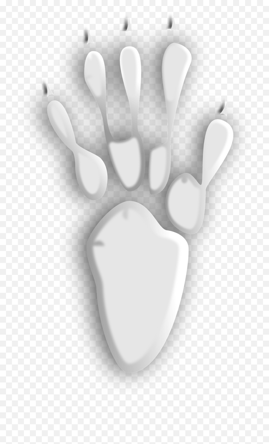 Footprint 5 Clipart Free Download Transparent Png Creazilla - Empreinte Cochon D Inde,Footsteps Icon