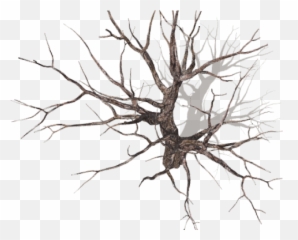 Drawn Dead Tree Tall - Winter Plan Png