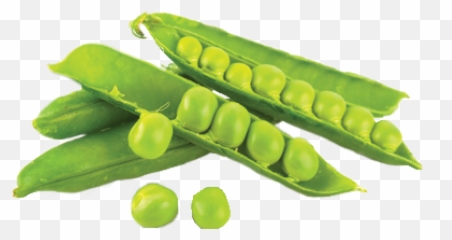 Peas Pick It Try Like Preserve - Makanan Yang Mengandung Protein Nabati Png,Peas Png