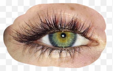 Prettyeyes Eyes Png Pngs Eyepng - Shadow