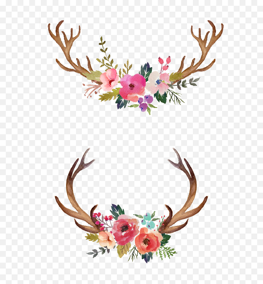 Watercolour Flowers Watercolor Painting - Watercolor Antlers With Flowers Png,Antlers Png