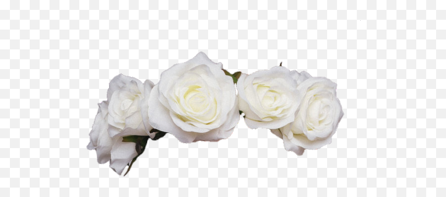 Jfc This Took Forever And The - Aesthetic White Flower Crown Png,White Rose Transparent Background