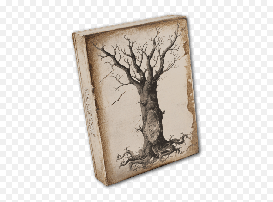 Medieval Tree Of Life - Birch Png,Tree Of Life Png