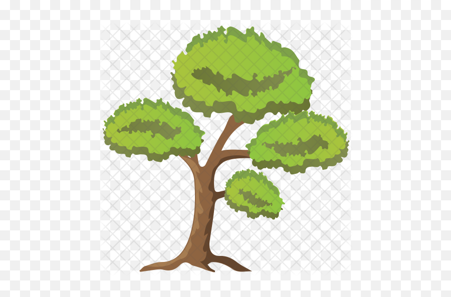 Scots Pine Tree Icon - Gambel Oak Png,Pine Tree Branch Png