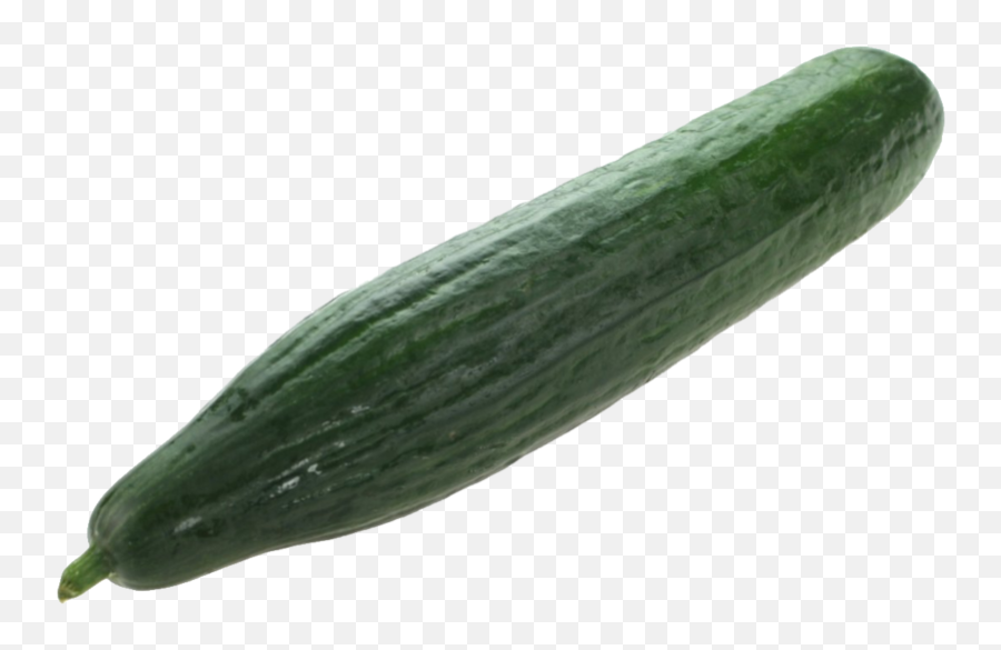 Png Background - Transparent Background Cucumber Png,Cucumber Transparent