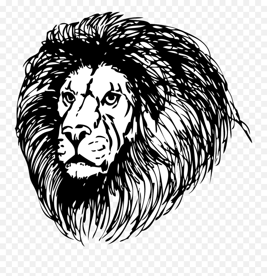 Large Lion Face Tattoo Transparent Png - Stickpng Lion The Witch And The Wardrobe Test,Face Tattoo Png