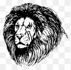 Large Lion Face Tattoo Transparent Png - StickPNG The Witch And Wardrobe Test