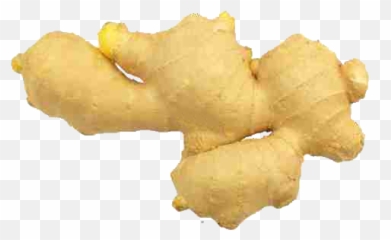 Ginger Icon - White Ginger Png,Ginger Png