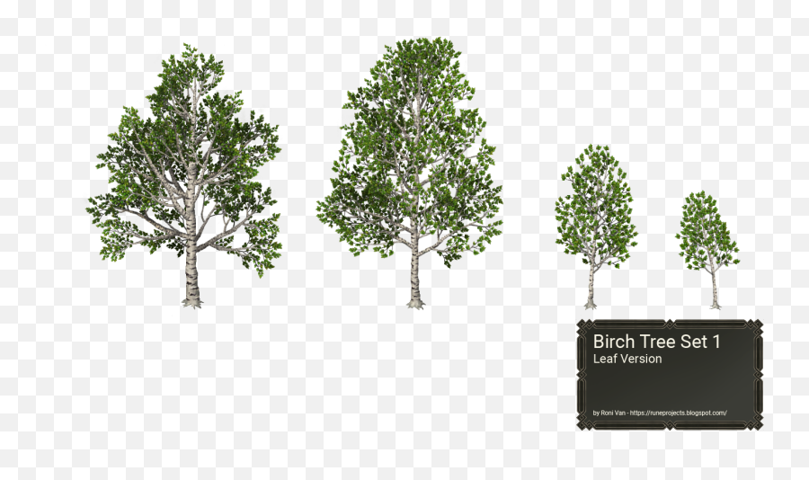 Download Hd Birch Trees - White Birch Rpg Maker Png,Birch Tree Png