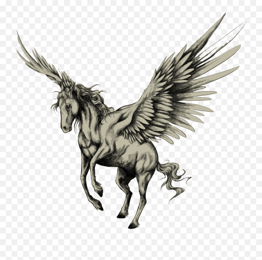 Png Image Transparent Background - Pegasus Tattoo,Pegasus Png