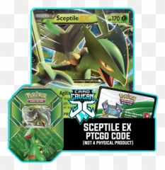 Sceptile Ex - Charizard Tin Hidden Fates Png,Sceptile Png