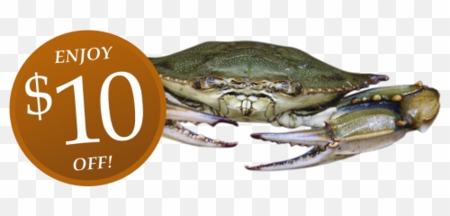 Oven Baked Softshell Crabs - Dungeness Crab Png,Crab Legs Png