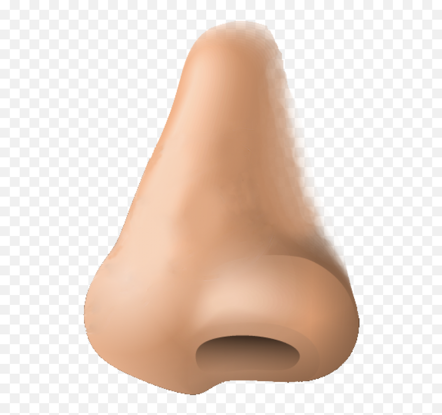 Human Nose Png Image - Nose Png,Nose Png