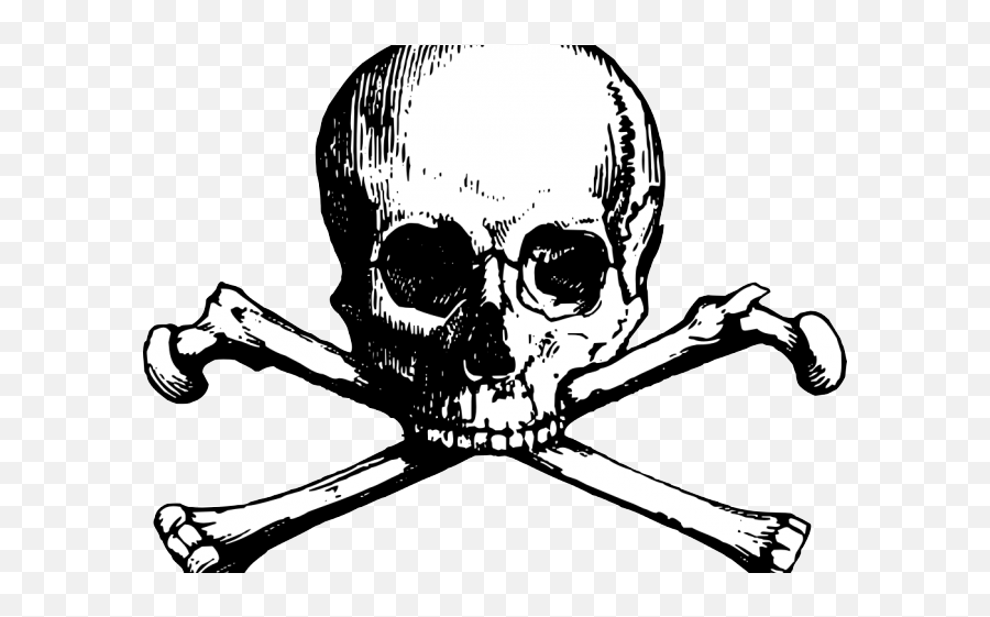 New England Patriots Clipart Skull - Skull And Bones Png,Skull And Bones Png