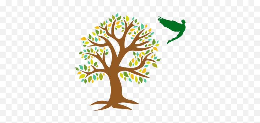 Cropped - Bigtreeonlyfaviconpng U2013 Lihigh School Tree Of Philosophy By Branches,Big Tree Png