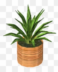 Fern Garden Paws Wiki Fandom - For Indoor png