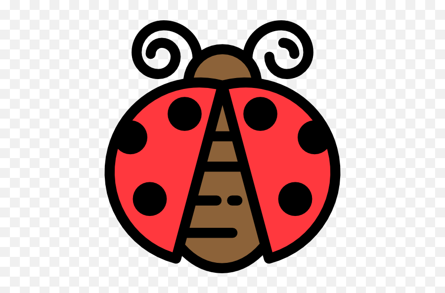 Bug Insect Animals Ladybug Animal Kingdom Icon Png