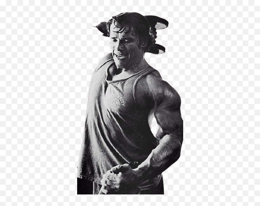 Best 50 Arnold Schwarzenegger Png Hd Background - Skull Crusher Alternative,Style Icon Arnold