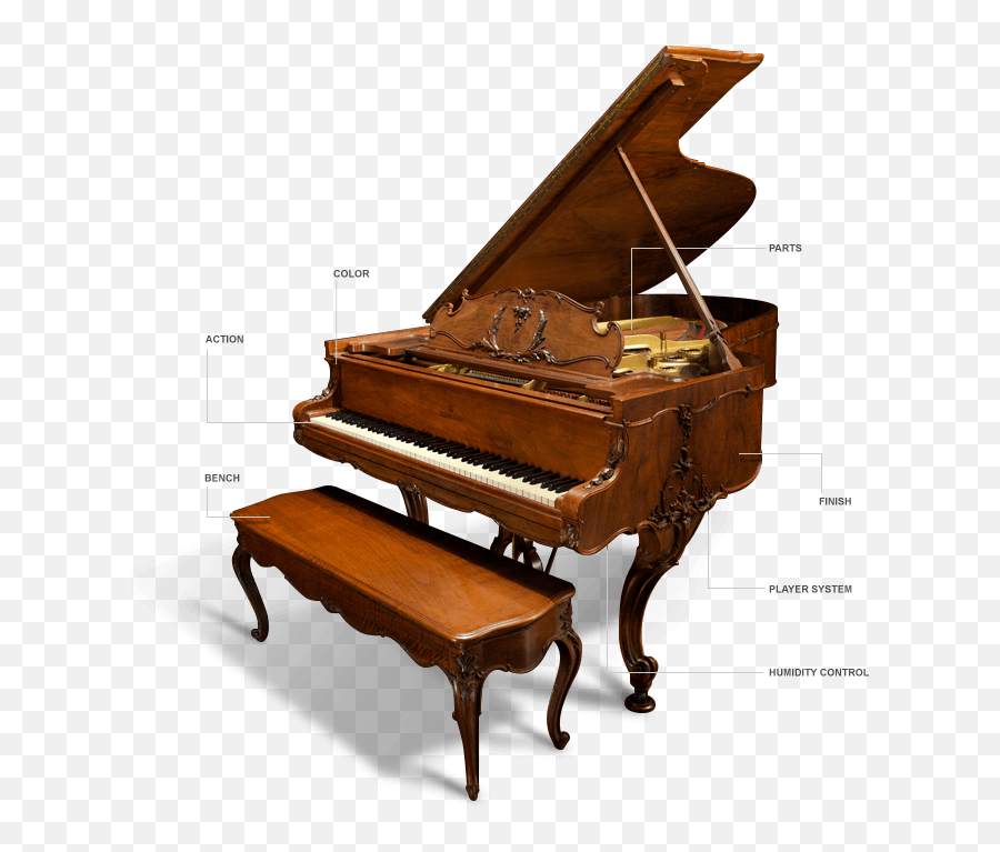 Pianos Diamond - Parts Of A Piano Png,Piano Transparent