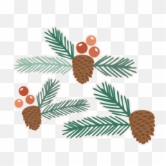 Pinecone Set Svg Scrapbook Cut File Cute Clipart Files For - Conifer Cone png