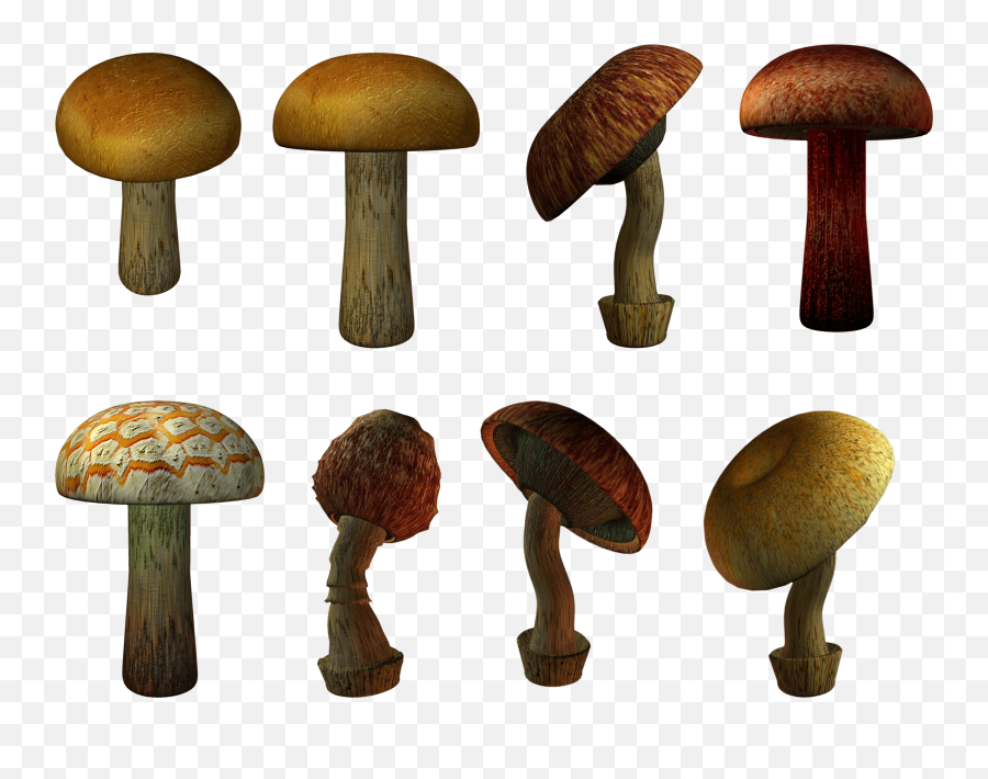 Download Mushroom Png Image Hq - Portable Network Graphics,Mushroom Png