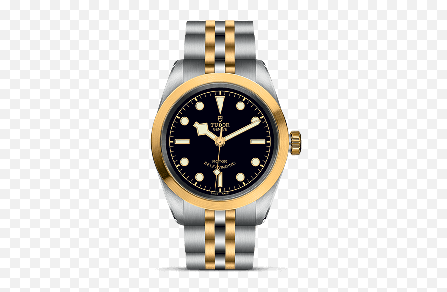 Official Tudor Website - Tudor Heritage Black Bay Gold Png,Watch Transparent Background